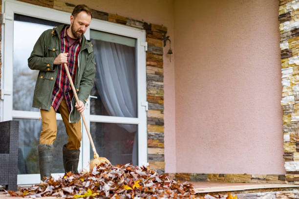 Yard Cleanup Services in Rhome, TX